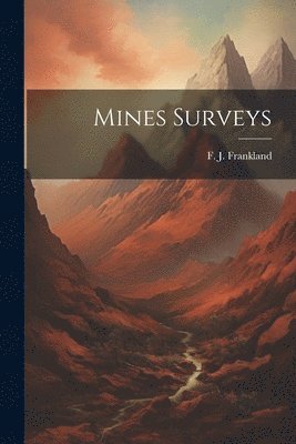 bokomslag Mines Surveys