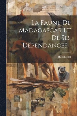 bokomslag La Faune De Madagascar Et De Ses Dpendances...