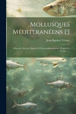 Mollusques Mditeranens [!] 1