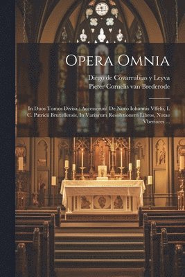 bokomslag Opera Omnia