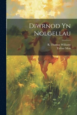 bokomslag Diwrnod Yn Nolgellau