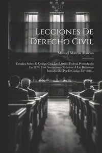 bokomslag Lecciones De Derecho Civil