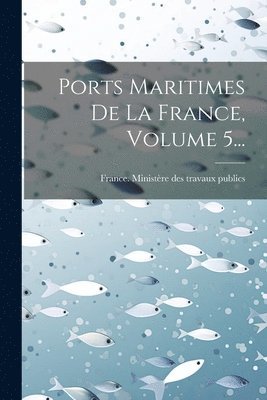 bokomslag Ports Maritimes De La France, Volume 5...