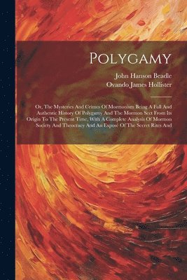 bokomslag Polygamy