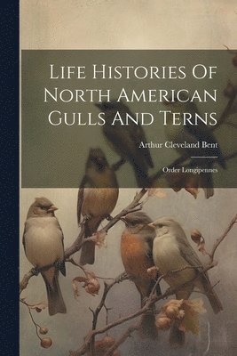 Life Histories Of North American Gulls And Terns