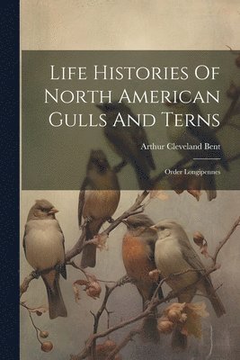 Life Histories Of North American Gulls And Terns 1