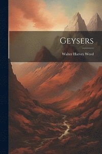 bokomslag Geysers