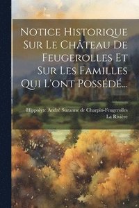 bokomslag Notice Historique Sur Le Chteau De Feugerolles Et Sur Les Familles Qui L'ont Possd...