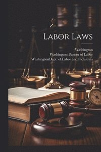 bokomslag Labor Laws