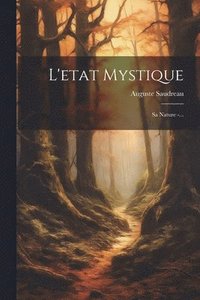 bokomslag L'etat Mystique