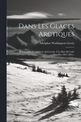 bokomslag Dans Les Glaces Arctiques