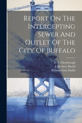 Report On The Intercepting Sewer And Outlet Of The City Of Buffalo 1