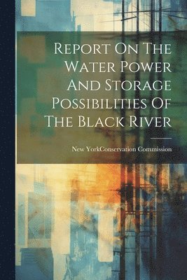 bokomslag Report On The Water Power And Storage Possibilities Of The Black River