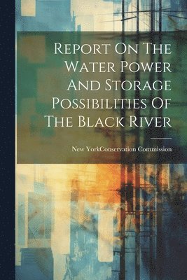New York (State) Conservation Commis - Report On The Water Power And Storage Possibilities Of The Black River, Häftad