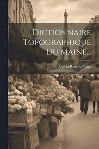bokomslag Dictionnaire Topographique Du Maine...