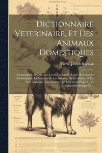 bokomslag Dictionnaire Veterinaire, Et Des Animaux Domestiques