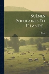 bokomslag Scènes Populaires En Irlande...