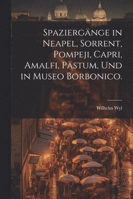Spaziergänge in Neapel, Sorrent, Pompeji, Capri, Amalfi, Pästum, und in Museo Borbonico.