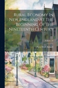 bokomslag Rural Economy In New England At The Beginning Of The Nineteenth Century; Volume 20