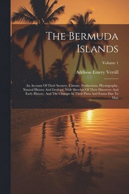 The Bermuda Islands 1