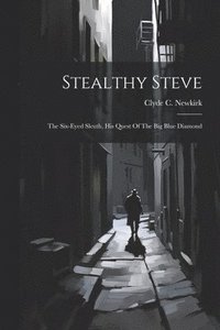 bokomslag Stealthy Steve