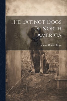 The Extinct Dogs Of North America 1