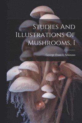 Studies And Illustrations Of Mushrooms, I 1