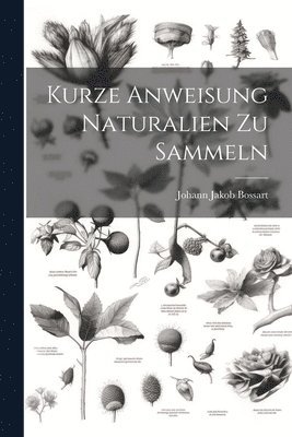 bokomslag Kurze Anweisung Naturalien Zu Sammeln