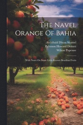 The Navel Orange Of Bahia 1