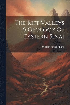 bokomslag Rift Valleys & Geology Of Eastern Sinai