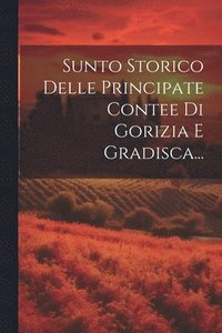 bokomslag Sunto Storico Delle Principate Contee Di Gorizia E Gradisca...