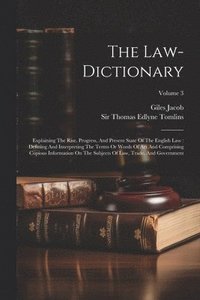 bokomslag The Law-dictionary: Explaining The Rise, Progress, And Present State Of The English Law: Defining And Interpreting The Terms Or Words Of A