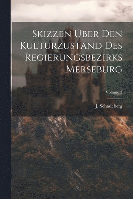 bokomslag Skizzen Über Den Kulturzustand Des Regierungsbezirks Merseburg; Volume 3