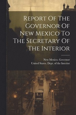 bokomslag Report Of The Governor Of New Mexico To The Secretary Of The Interior