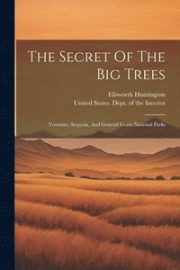 bokomslag The Secret Of The Big Trees
