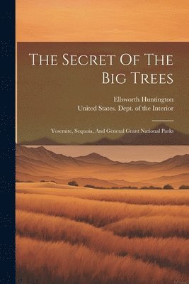 The Secret Of The Big Trees 1