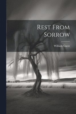 bokomslag Rest From Sorrow