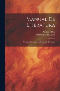 bokomslag Manual De Literatura