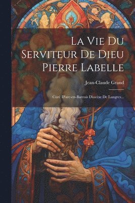 bokomslag La Vie Du Serviteur De Dieu Pierre Labelle