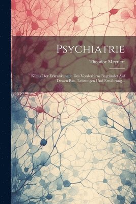Theodor Meynert - Psychiatrie, Häftad