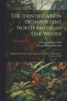 George Bishop Sudworth - Identification Of Important North American Oak Woods, Häftad