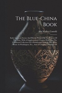 bokomslag Blue-china Book