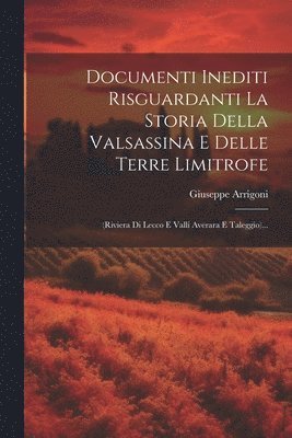 bokomslag Documenti Inediti Risguardanti La Storia Della Valsassina E Delle Terre Limitrofe