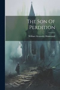 bokomslag Son Of Perdition