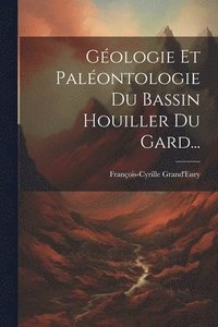 bokomslag Gologie Et Palontologie Du Bassin Houiller Du Gard...