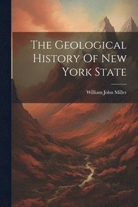 bokomslag The Geological History Of New York State