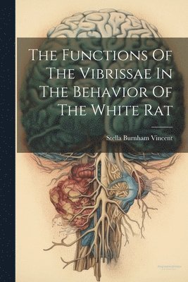 bokomslag The Functions Of The Vibrissae In The Behavior Of The White Rat