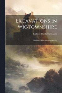 bokomslag Excavations In Wigtownshire