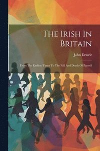 bokomslag The Irish In Britain