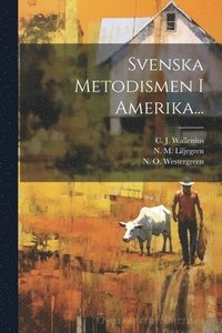 bokomslag Svenska Metodismen I Amerika...